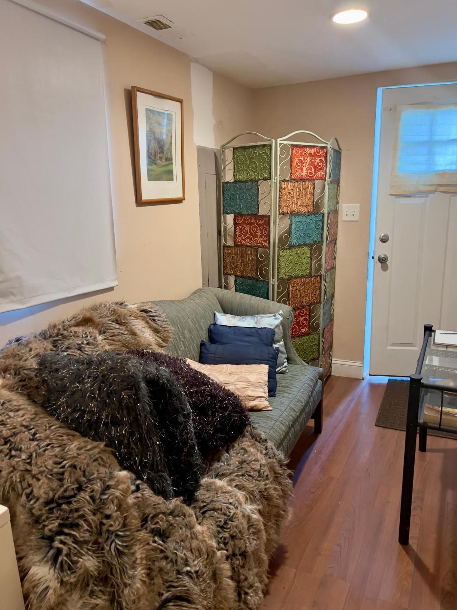 Charming 1-Bedroom Basement Close To Dc Pets Allowed Arlington Kültér fotó